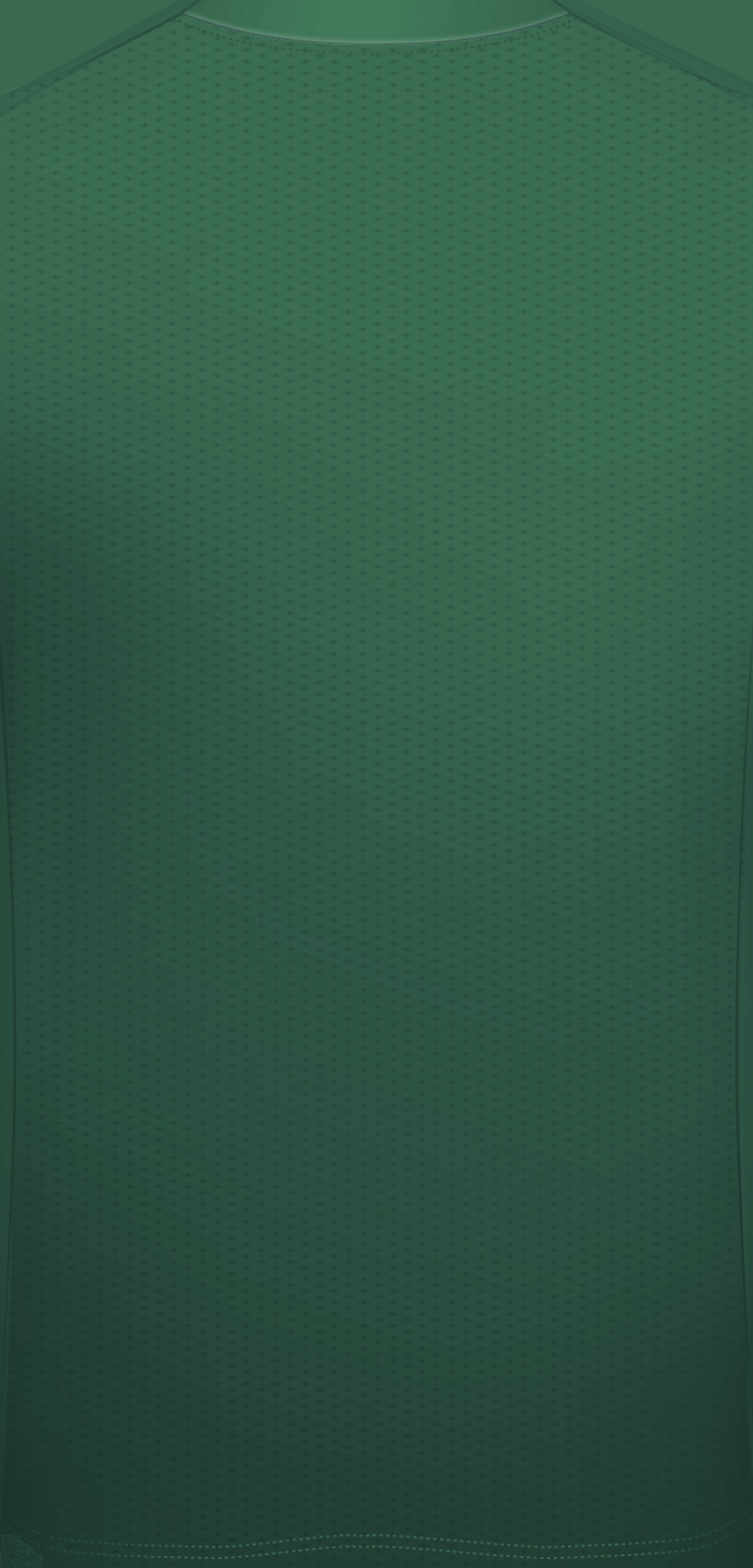 Capinha para celular iPhone XR Palmeiras Uniforme 1 2021 Personalizado -  Gocase